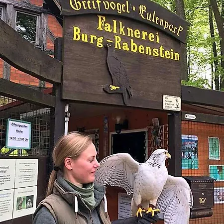 מלון Burg Rabenstein